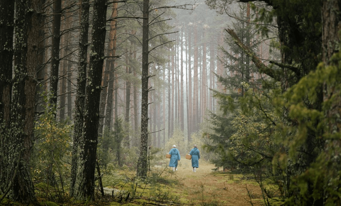 What to Do in Varėna for Forest and Berry Season Visitors